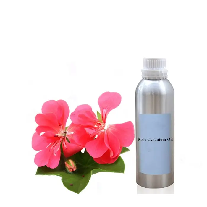 ORGANIC Rose Geranium ätherisches Öl mit niedrigem Preis für Parfüm herstellung und kosmetische Verwendung