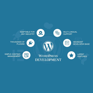 Oluşturulması özel wordpress eklenti şirketi | Protolabz eServices