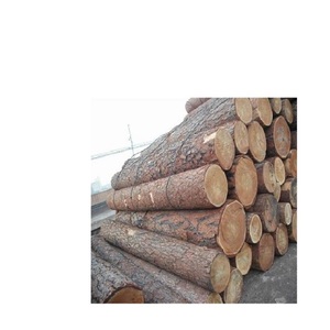 Sawn Teak Azobe günlükleri/kiraz günlükleri satılık düşük maliyetleri. - Product Image 4