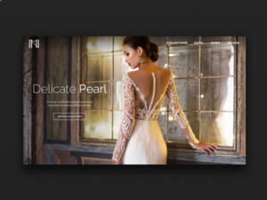 Webent wicklung | Domain registrierung und Hosting | Bestes Design und Entwicklung von E-Commerce-Websites