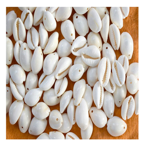 Cowrie מעטפת חרוזים גם זמין עם קדח חורים כדי לשמש בתכשיטים או כמו תליון - Product Image 1