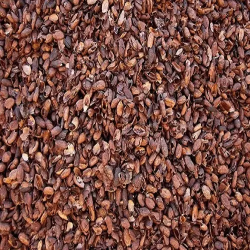 cocoa shell