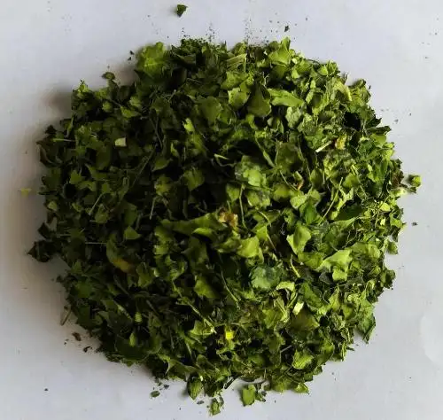 Suministro a granel de hojas secas de Moringa, ricas en antioxidantes e inmunitarias, hojas de Moringa secas orgánicas | MS. TERESA + 84971482716