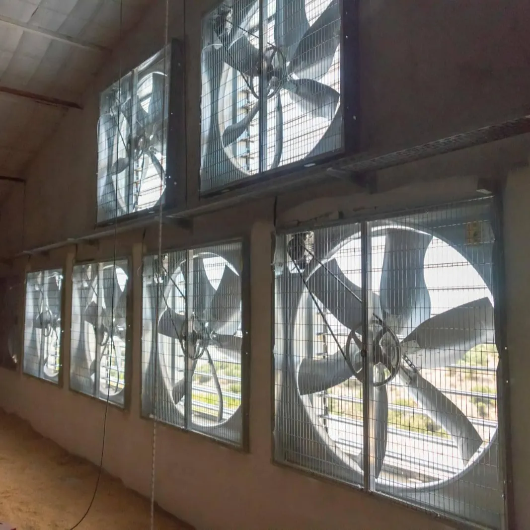 चिकन पोल्ट्री फार्म के लिए 2024 कैंटन फेयर औद्योगिक वाणिज्यिक वेंटिलेशन दीवार खिड़की निकास पंखा 50 इंच निकास पंखा