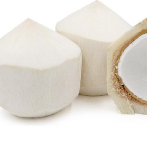 Frische Kokosnuss Diamon Form aus Vietnam Frau Laura