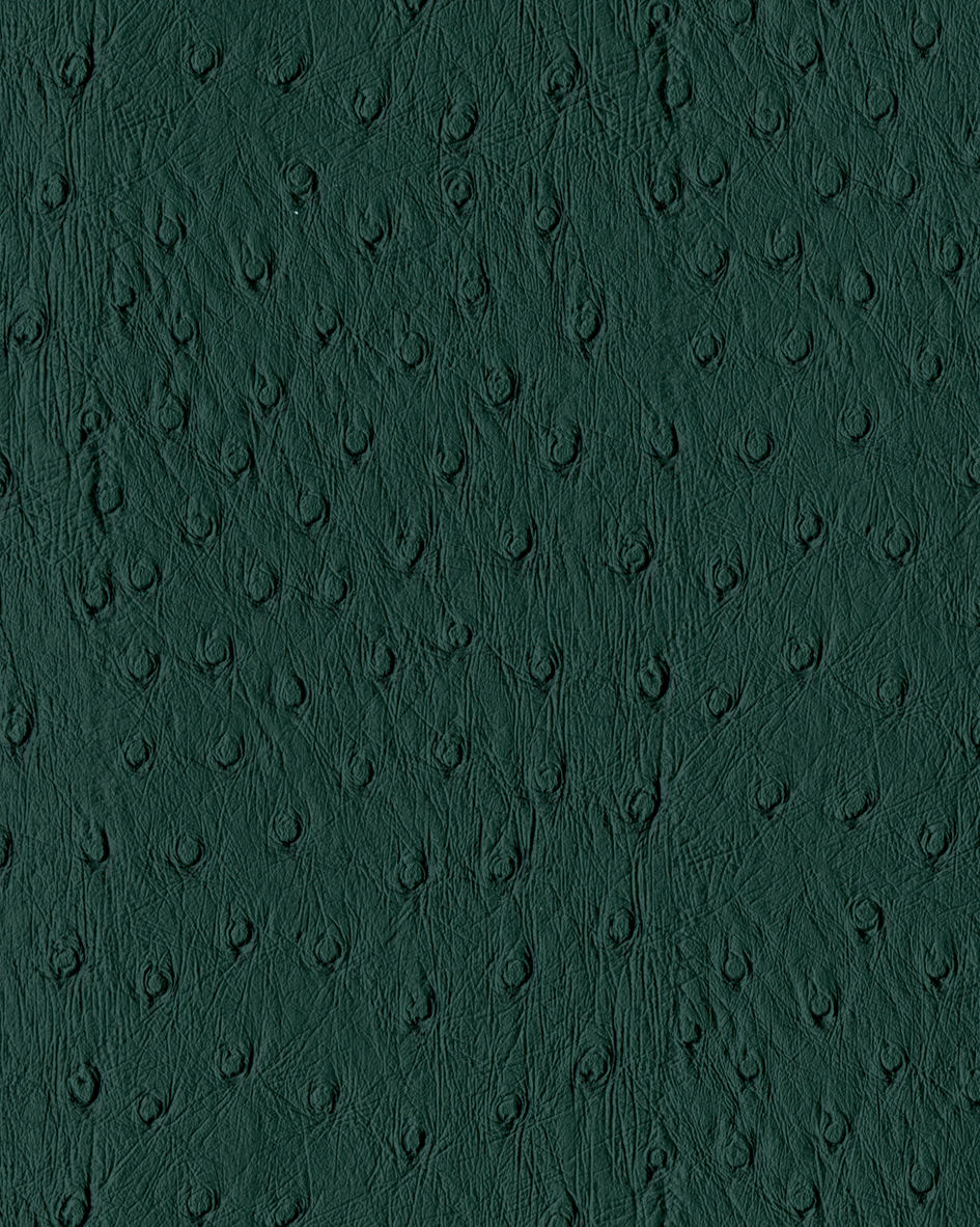 Dark สีเขียว