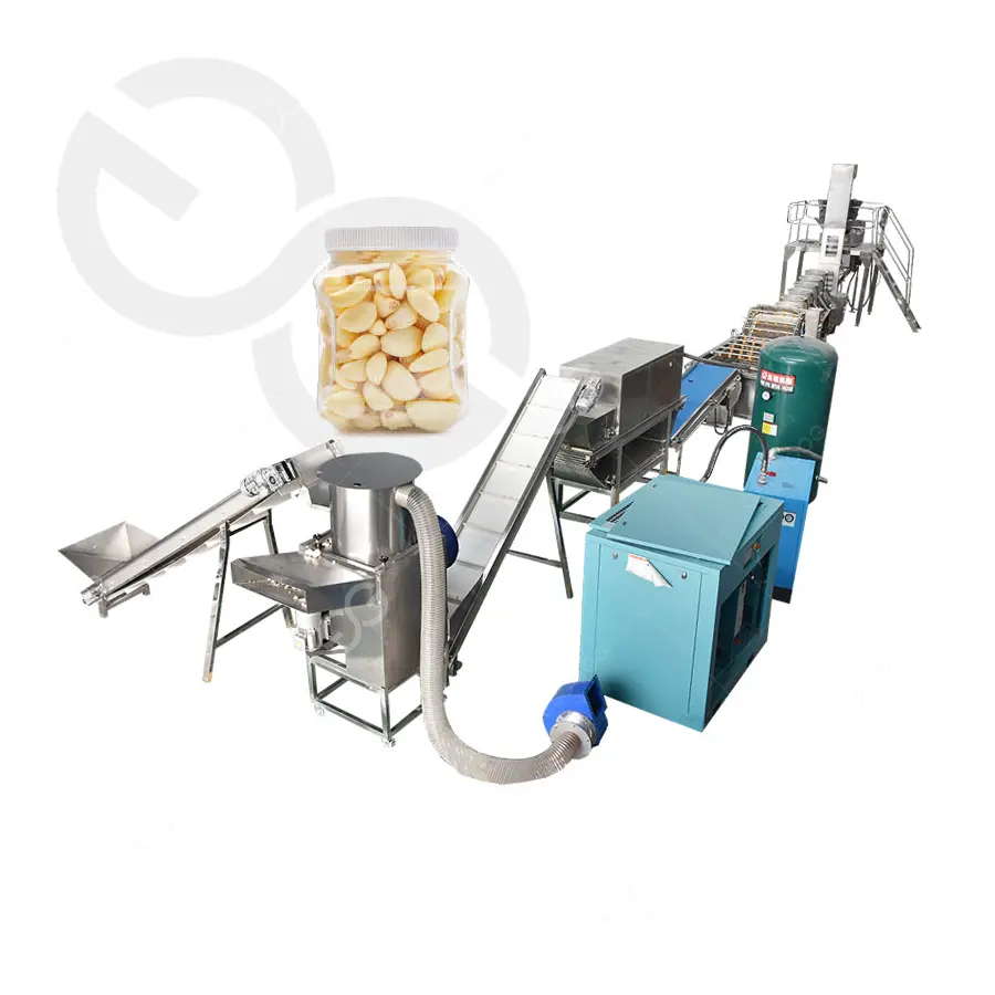 High Efficiency Warranty 1 Year Stainless Steel Industrial Garlic Peeling Machine 1T/h