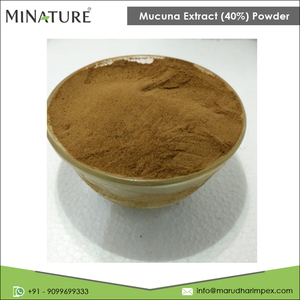 ขายส่งปริมาณผู้ผลิตที่มีคุณภาพสูง100% บริสุทธิ์ <span class=keywords><strong>Mucuna</strong></span> สารสกัดจาก (<span class=keywords><strong>40</strong></span>%) ผงในราคาที่แข่งขัน - Product Image 2