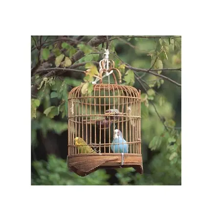 Gabbia per pappagalli da appendere In ferro puro gabbia per uccelli da interno di dimensioni personalizzate più venduta dal produttore nelle arti domestiche