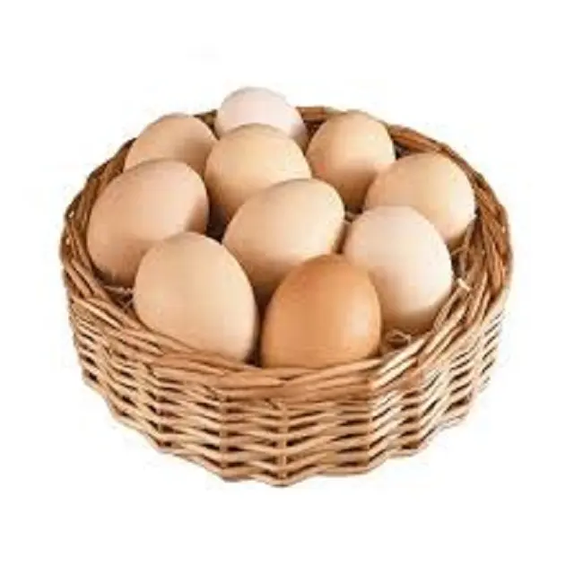 قسط مزرعة الدجاج الطازج طاولة البيض البني والأبيض قذيفة بيض الدجاج للبيع