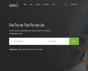 Jobportal-Entwicklung, Bestands verwaltungs system, Website-Design-Website-Anwendungs entwicklung