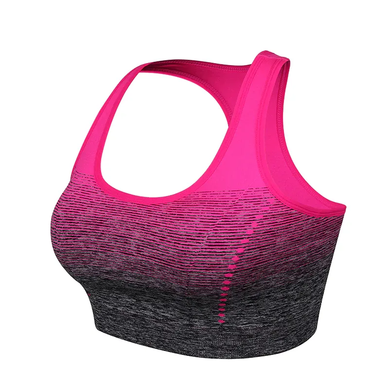 Sin costura Yoga Fitness deporte sujetador superior rápido seco espalda acolchada deportes Top de gradiente de alta elástico sujetador de deporte para las mujeres