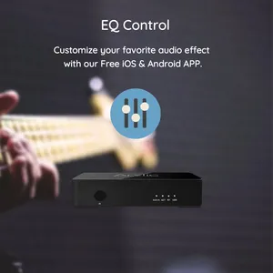 ホームシアターオーディオレシーバーデバイスwifiマルチルームオーディオパワーアンプモジュール - Product Image 5