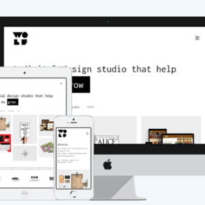 Profession elles Wordpress Website Design & Development Responsive Design für Mac Digital Software Package Inklusive Internet version