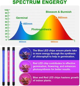 หลอดไฟปลูกพืช LED,100W เต็มสเปกตรัม110V 220V 85-265VAC E27 E26หลอดไฟสำหรับพืชในร่ม - Product Image 4