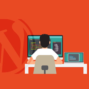 SEO dostu Web | Özelleştirilmiş WordPress Web sitesi hizmetleri | Protolabz eServices