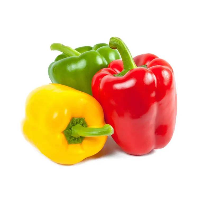 FRESH CAPSICUM /FRESH BELL PEPPER/FRESH SWEET CHILI