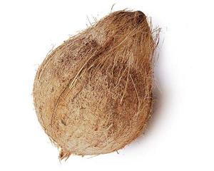 SEMI SEMIGREGGIO COCCO DAL VIETNAM CON IL MIGLIORE PREZZO STANDARD di ESPORTAZIONE//Rachel: + 84896436456
