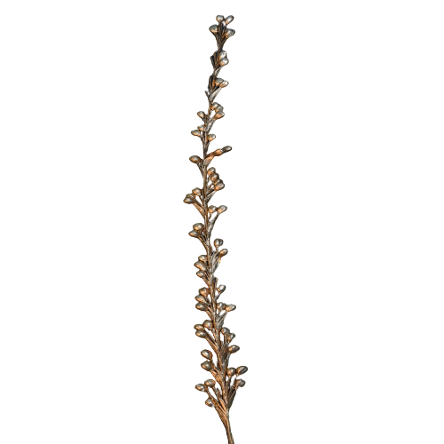 Naturel et assorti