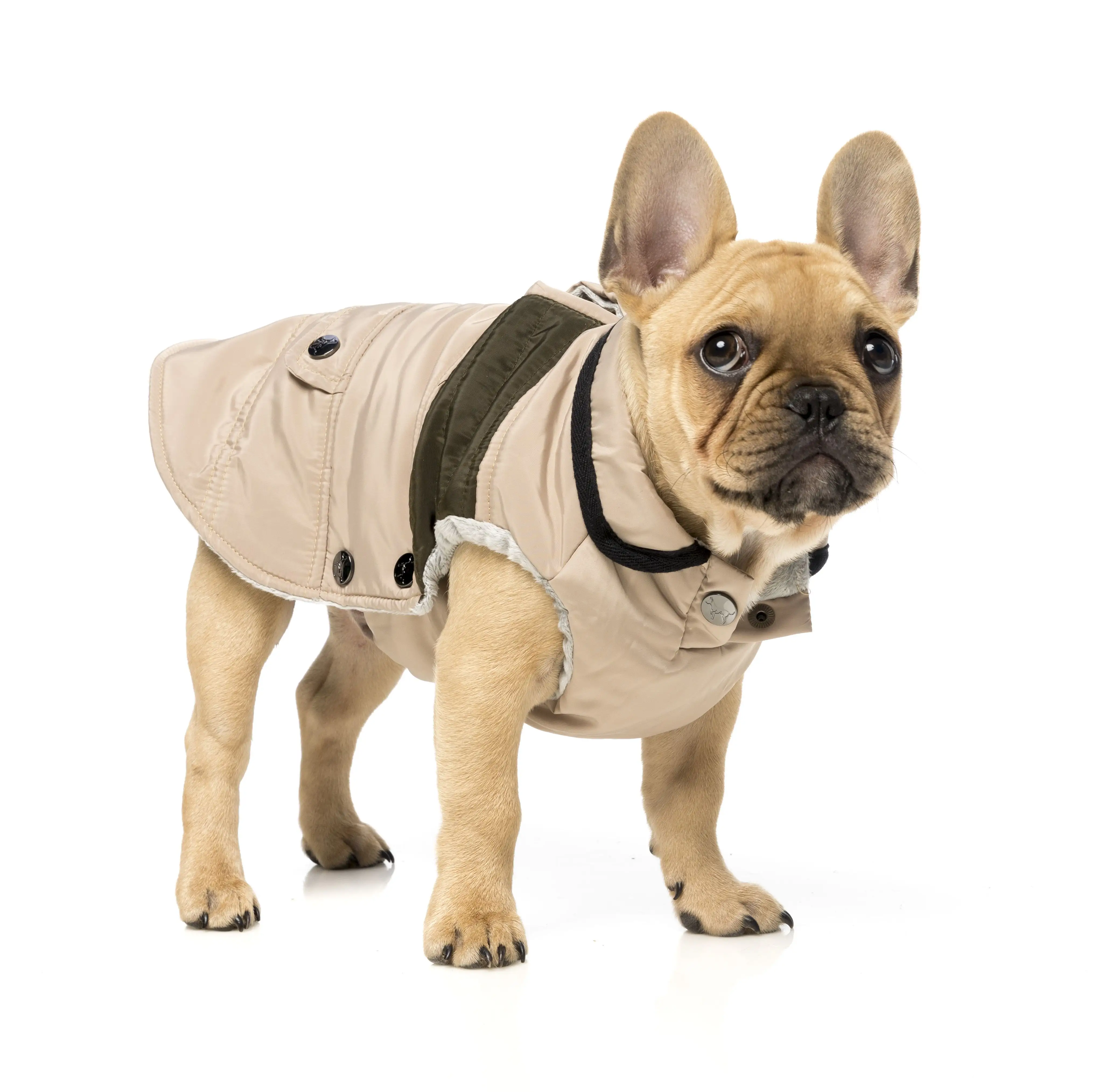 Mac-Chaqueta de aventura cómoda para mascotas, color Beige y caqui, ropa reciclada para perros, 2,0