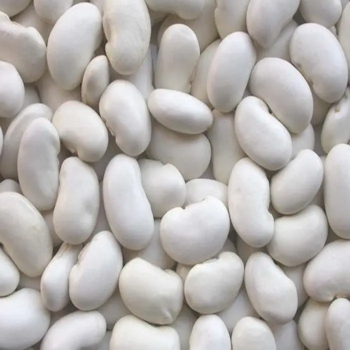 2021 ventas blanco frijoles secos precio nuevo cultivo buen precio blanco riñón frijoles blancos paquete a granel (25 KG 55 LBS) en bolsas de pp
