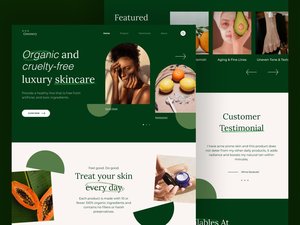 Shopify Webent wicklung und Design von Suchmaschinen-Marketing diensten | B2B B2C E-Commerce-Website