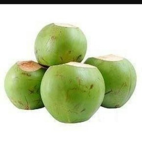 Vietnam top fornitore di alta qualità giovane noce di cocco - Product Image 6