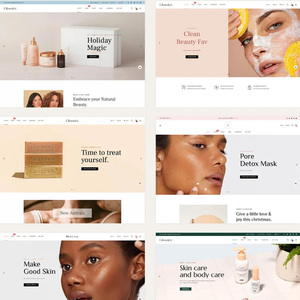 Shopify Webent wicklung und Design von Suchmaschinen-Marketing diensten | B2B B2C E-Commerce-Website