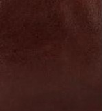 Brun foncé