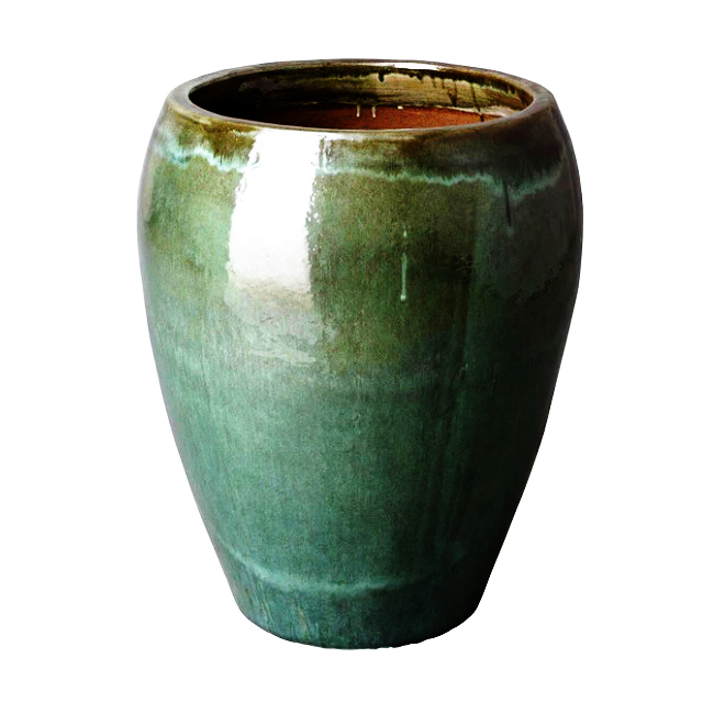 Thé vert