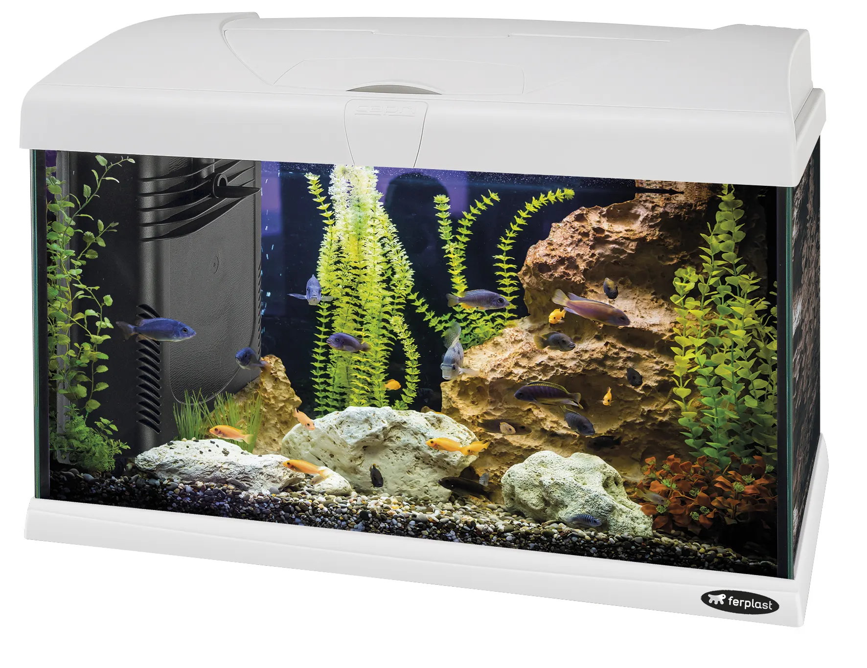 Fer plast Capri 50 LED - 40 L. Glas aquarium mit LED-Lampe, Innen filter und Heizung. 2 Farben.
