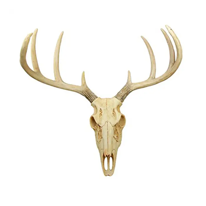 Atlântico Colecionáveis Ponto Crânio Dos Cervos Antler Deer Hunter 8 Rústico Cremalheira Fixada Na Parede Da Placa Troféu Estatueta Decoração