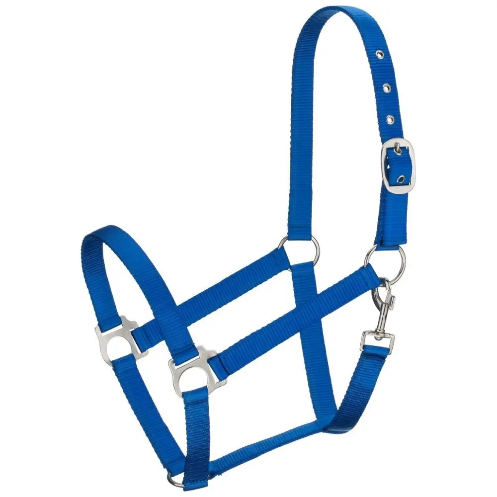 Nylon Halter Voor Paarden-Economische Instap Paard Halster-Levendige Blauwe Kleur-Diverse Kleuren Mogelijk