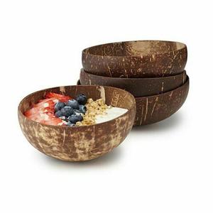 Modernes umwelt freundliches Kokosnussschalen-Set Kreatives Design Essen Geschirr Löffel Teller Teller Camping Party Reisen Weihnachts handwerk