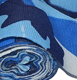 BlueCAm