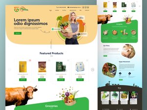 Entwicklung und Design von Wordpress, Laravel, Shopify, Angular, React und Zoho CMS/Frameworks