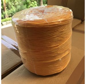 India Factory Agriculture Twine Ropes <strong>Twisted</strong> <strong>PP</strong> <strong>String</strong> PE <strong>String</strong> Tomato Banana Twist Rope Packaging PE Baler Twine Rope Nylon - Product Image 3