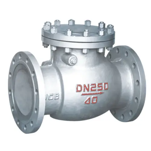 DN250 PN40 WCB Check Valve