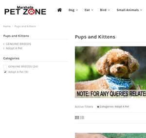 オンラインショッピングeコマースWebサイトのデザインと開発オンラインペットストアPHP HTML CSS Dynamic Web Builderソフトウェア - Product Image 6