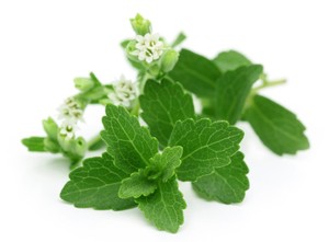 DRIED STEVIA <strong>REBAUDIANA</strong> FROM VIET NAM Holiday with High Quantity - Product Image 2