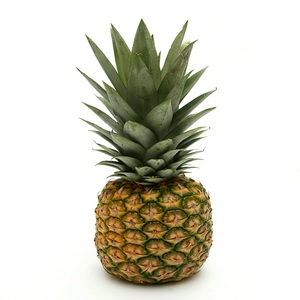 FRESH PINEAPPLE FROM <strong>VIETNAM</strong> - Product Image 1