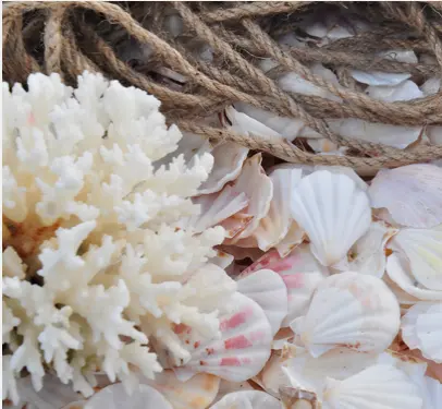 Kerang Alami Bubuk Cuci/Kerang Laut Shell dari Vietnam dengan Harga Terendah/Mei