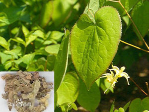 Super antioxidantes 100% extrato de planta natural 25% anocyanins, extrato de bilberry europeu