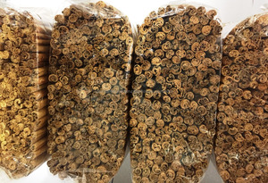 锡兰肉桂粉末从斯里兰卡最优惠的价格 - Product Image 6