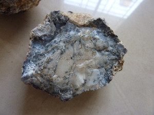 Dendritik Opal doğrudan maden kaba Cabochon