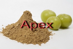 Emblica Officinalis <strong>Oil</strong> Indian Gooseberry <strong>Oil</strong> Amla <strong>Oil</strong> - Product Image 4