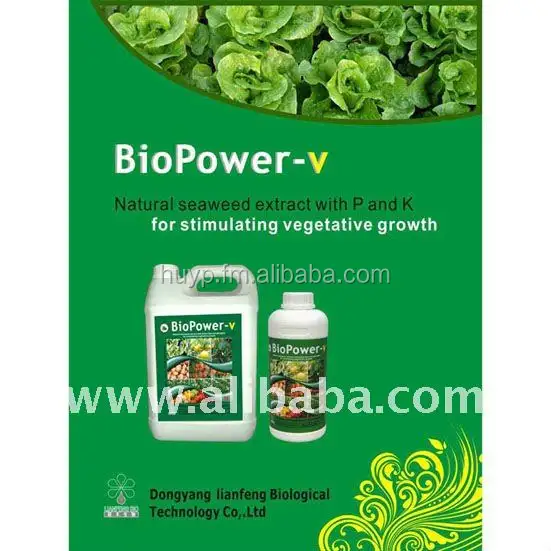 Organic fertilizer sargassum seaweed fertilizer foliar spray fertilizer for rubber rice banana watermelon tea cotton plant