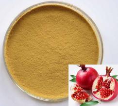 Super antioxidantes 100% extrato de planta natural 25% anocyanins, extrato de bilberry europeu