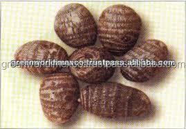 BEST PRICE of FRESH <strong>TARO</strong> FROM VIETNAM. - Product Image 4