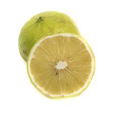 Organik sertifikalı Bergamot uçucu yağ 100% saf ve doğal vücut bakımı kullanımı için hindistan'da uçucu yağ toplu ihracatçılar - Product Image 4